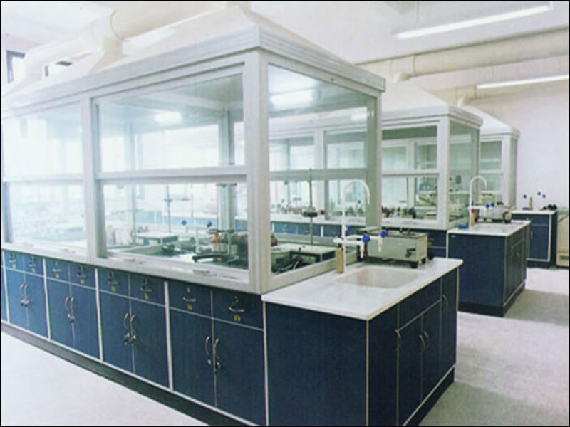 實(shí)驗(yàn)室通風(fēng)柜、毒氣柜