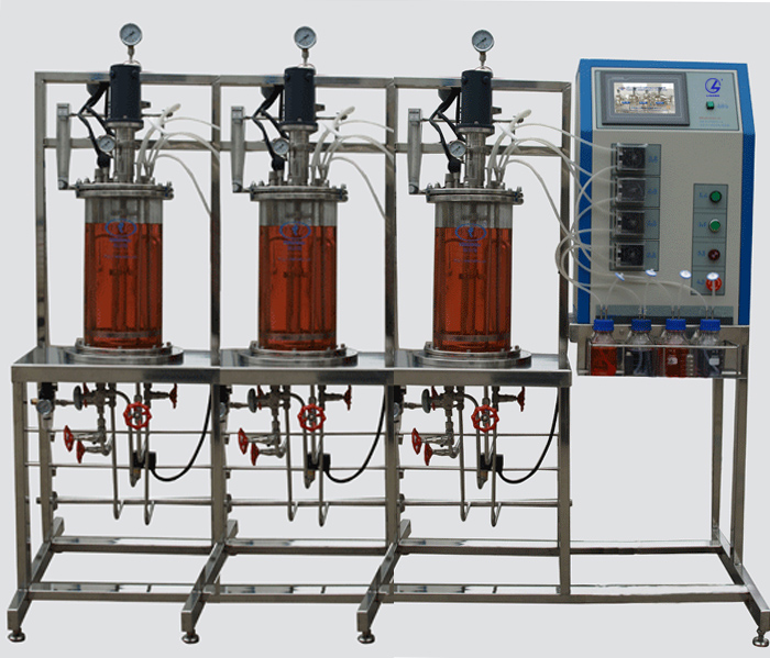 LG--DJE系列 多聯(lián)平行機(jī)械攪拌玻璃發(fā)酵罐