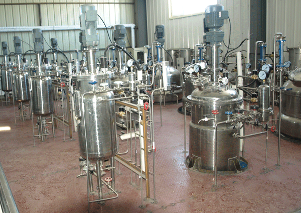 LG-PJ系列 全自動(dòng)多聯(lián)不銹鋼發(fā)酵罐&mdash;大型發(fā)酵車間